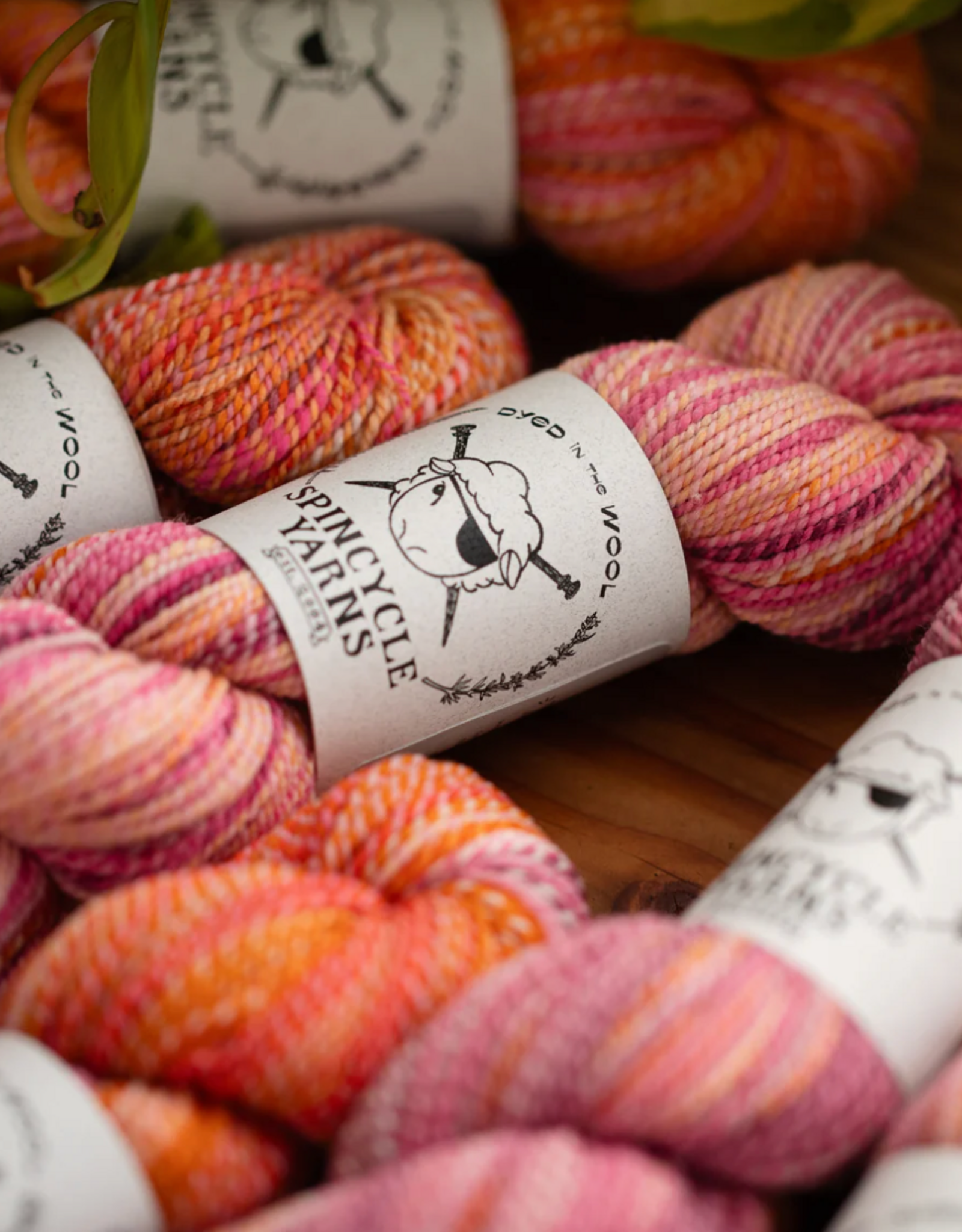 Spincycle Yarns Spincycle Yarns Dyed In The Wool