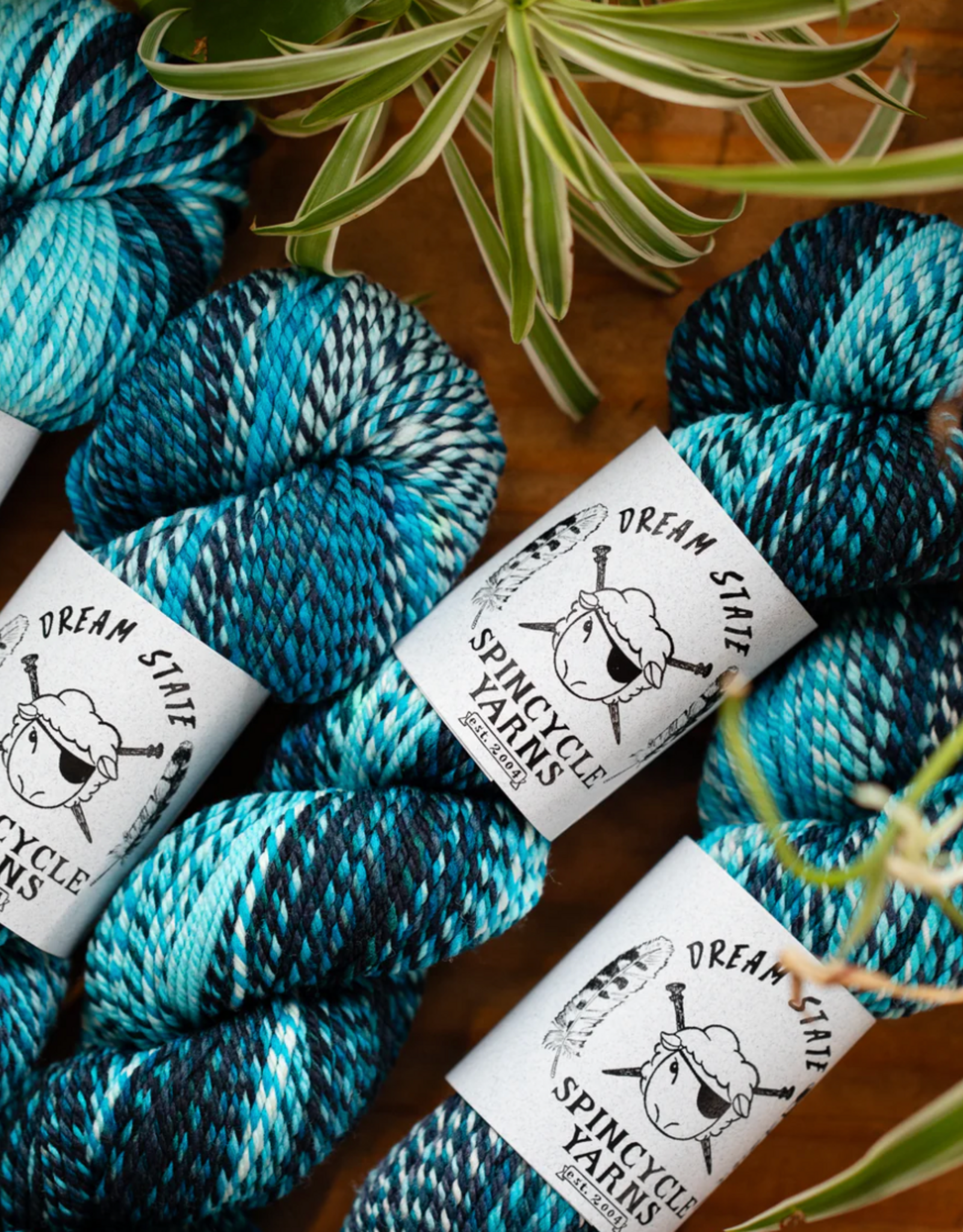 Spincycle Yarns Spincycle Yarns Dream State