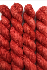 Emma's Yarn Emmas Yarn Practically Perfect Sock SMALL