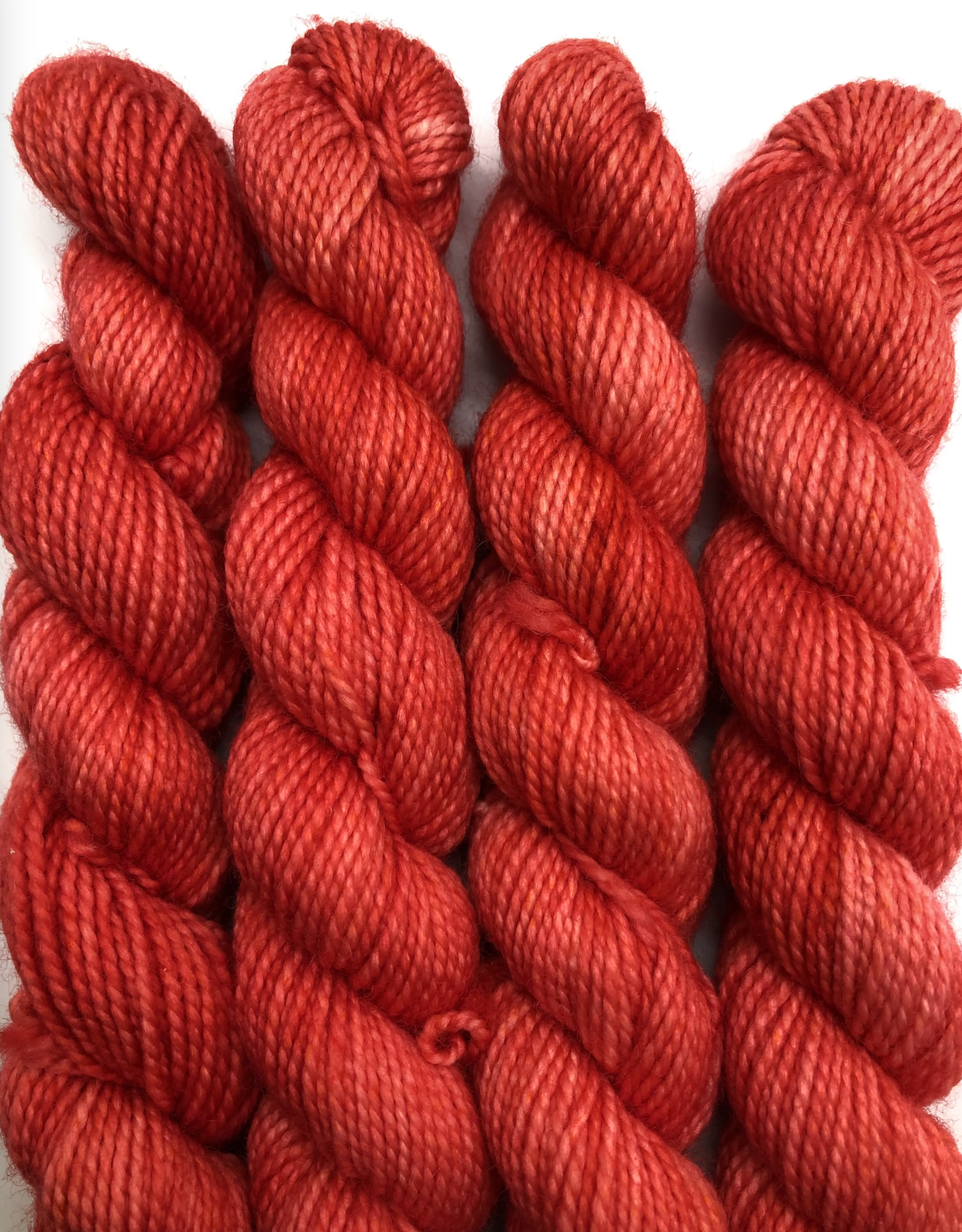 Emma's Yarn Emmas Yarn Practically Perfect Sock SMALL