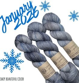 Emma's Yarn Emma’s Yarn CBC Club Practically Perfect Sock