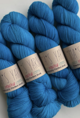 Emma's Yarn Emmas Yarn Practically Perfect Sock SMALL