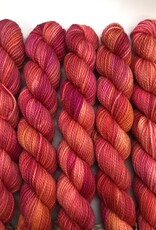 Emma's Yarn Emmas Yarn Practically Perfect Sock SMALL