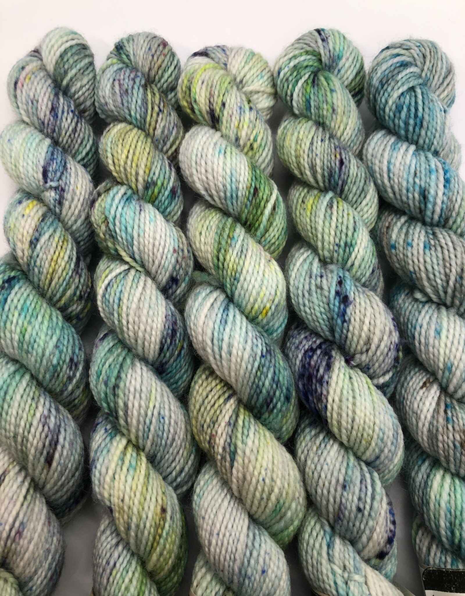 Emma's Yarn Emmas Yarn Practically Perfect Sock SMALL