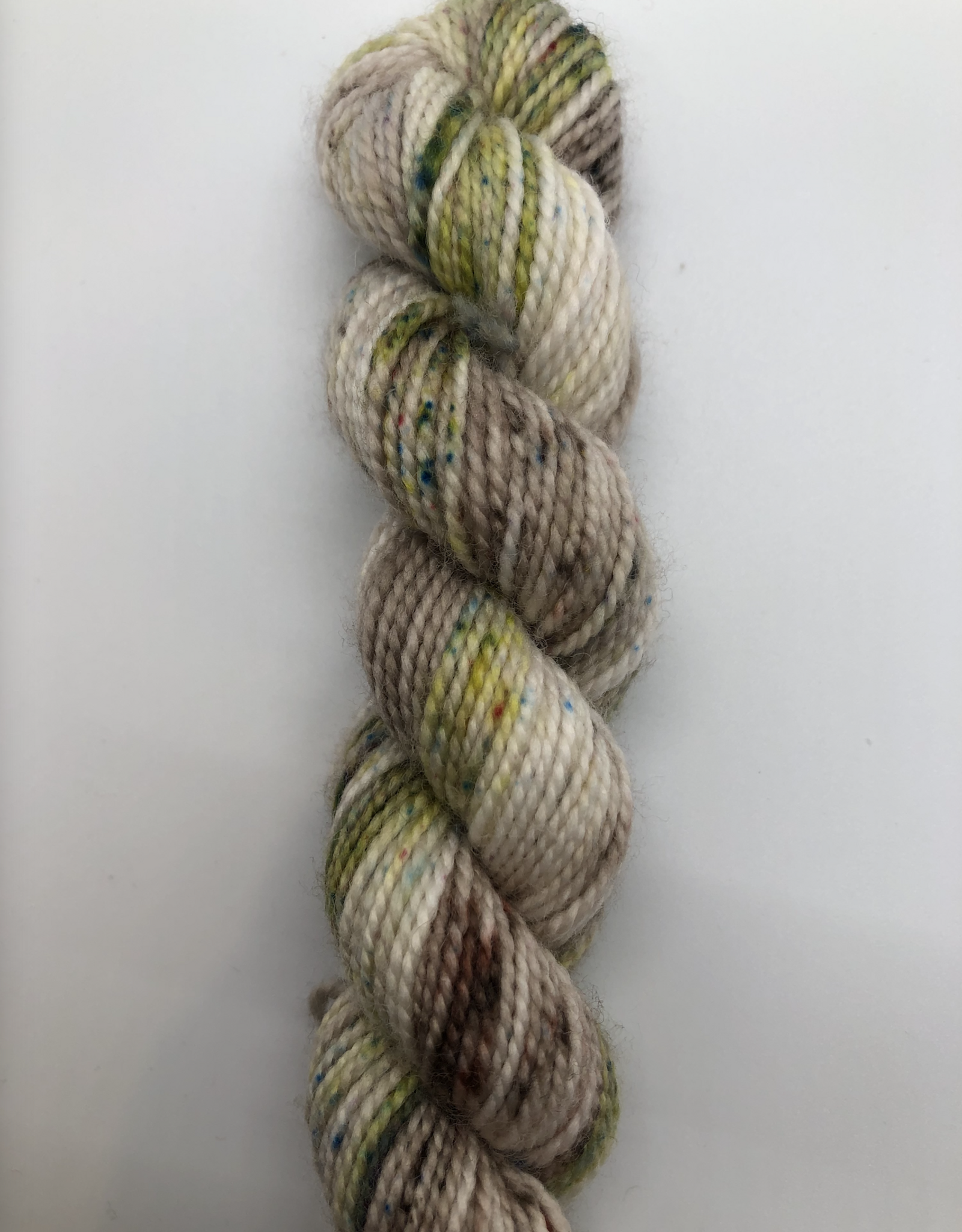 Emma's Yarn Emmas Yarn Practically Perfect Sock SMALL