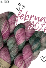 Emma's Yarn Emma’s Yarn CBC Club Practically Perfect Sock