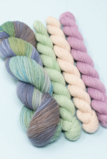 Queen City Yarn Queen City Yarn Desert Frost