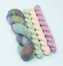 Queen City Yarn Queen City Yarn Desert Frost