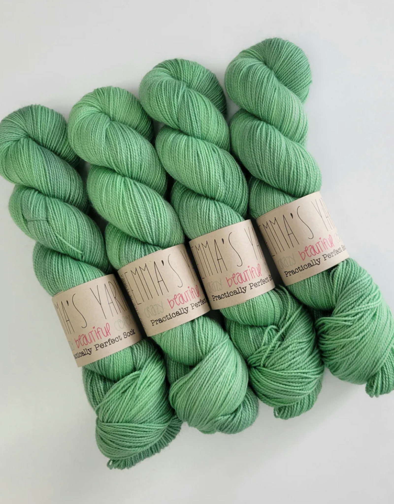 Emma's Yarn Emmas Yarn Practically Perfect Sock SMALL