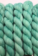 Emma's Yarn Emmas Yarn Practically Perfect Sock SMALL