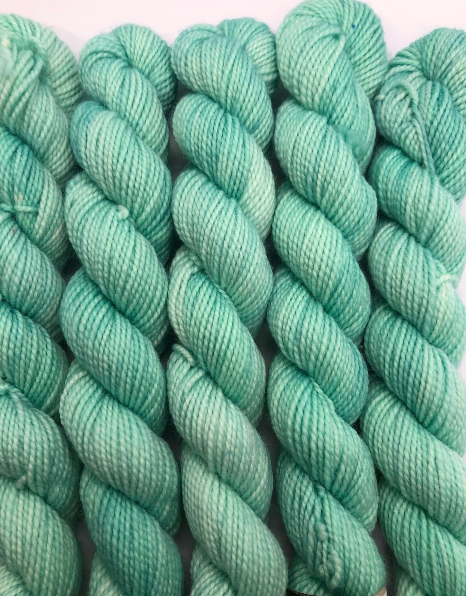 Emma's Yarn Emmas Yarn Practically Perfect Sock SMALL