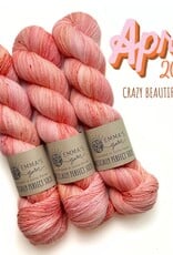 Emma's Yarn Emma’s Yarn CBC Club Practically Perfect Sock