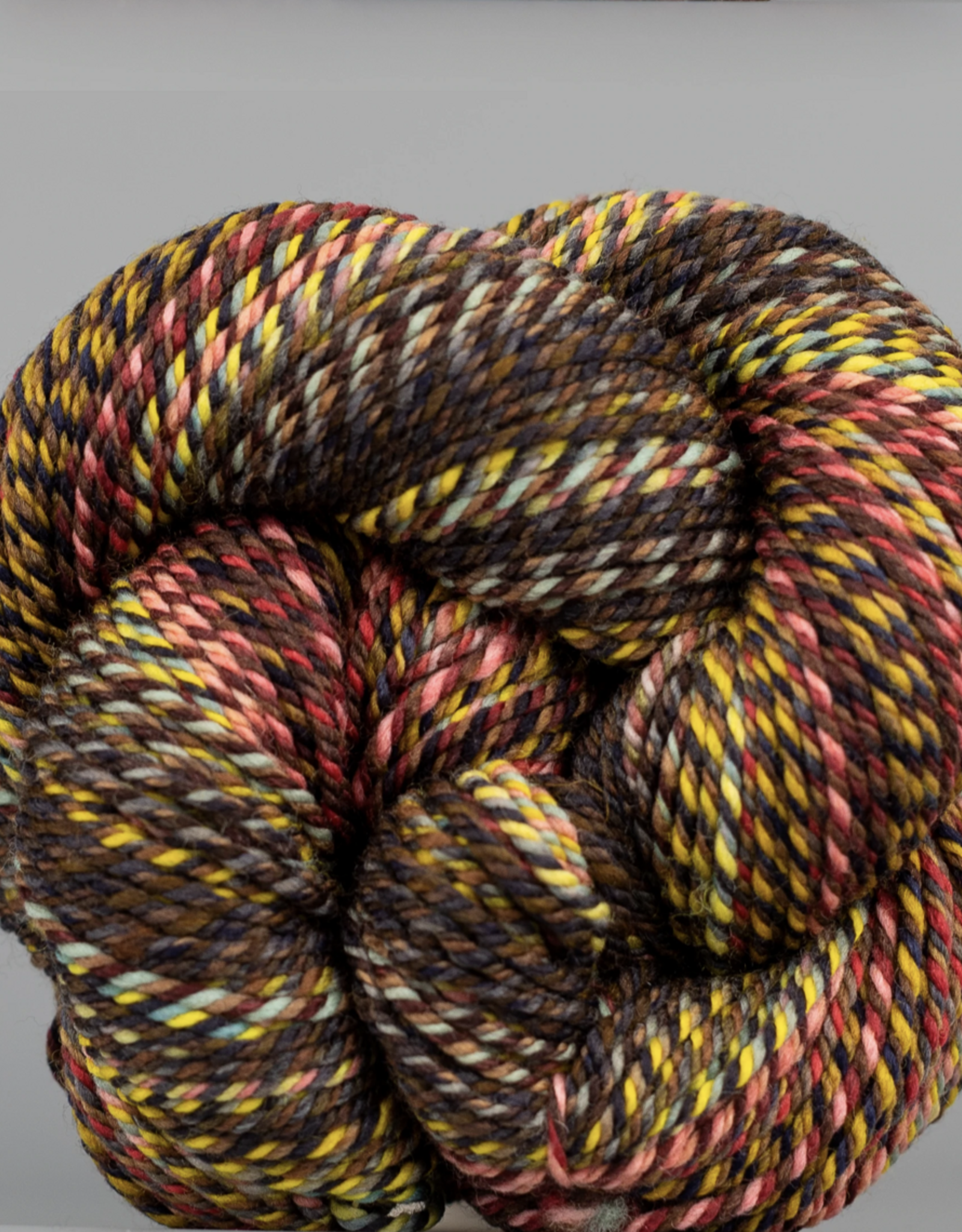 Spincycle Yarns Spincycle Yarns Dream State