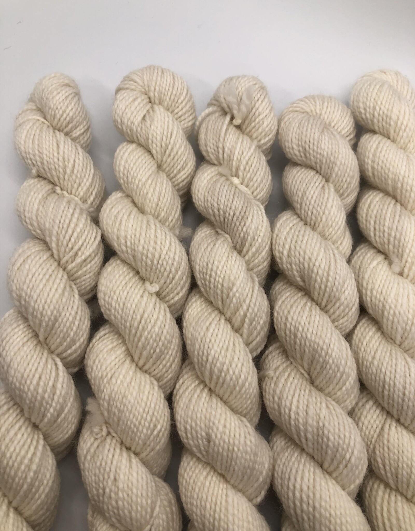 Emma's Yarn Emmas Yarn Practically Perfect Sock SMALL