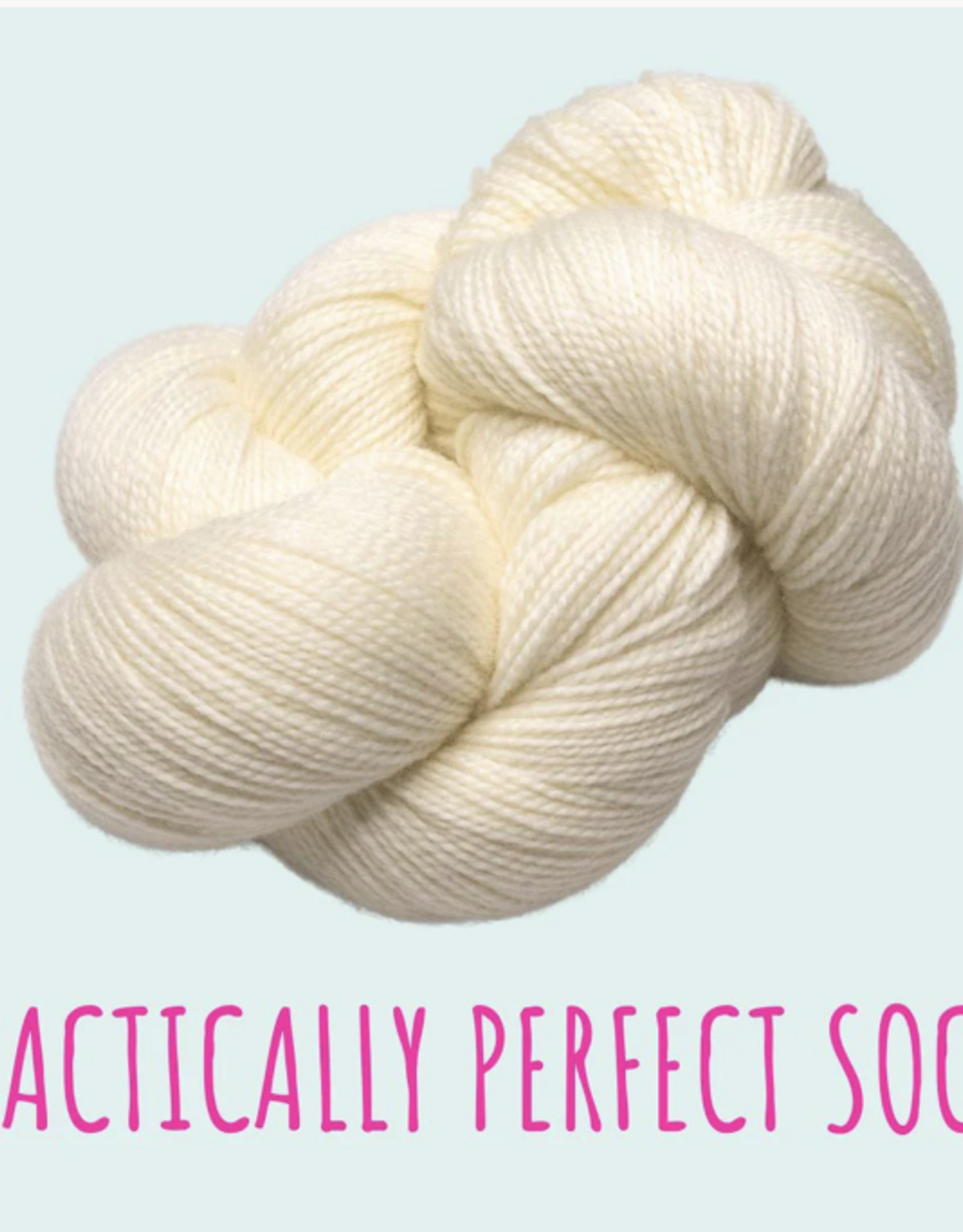 Emma's Yarn Emmas Yarn Practically Perfect Sock SMALL
