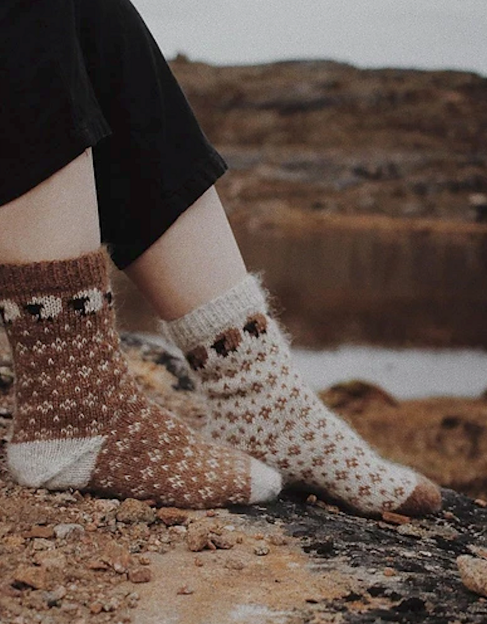 Berroco Ovis Sock Bundle