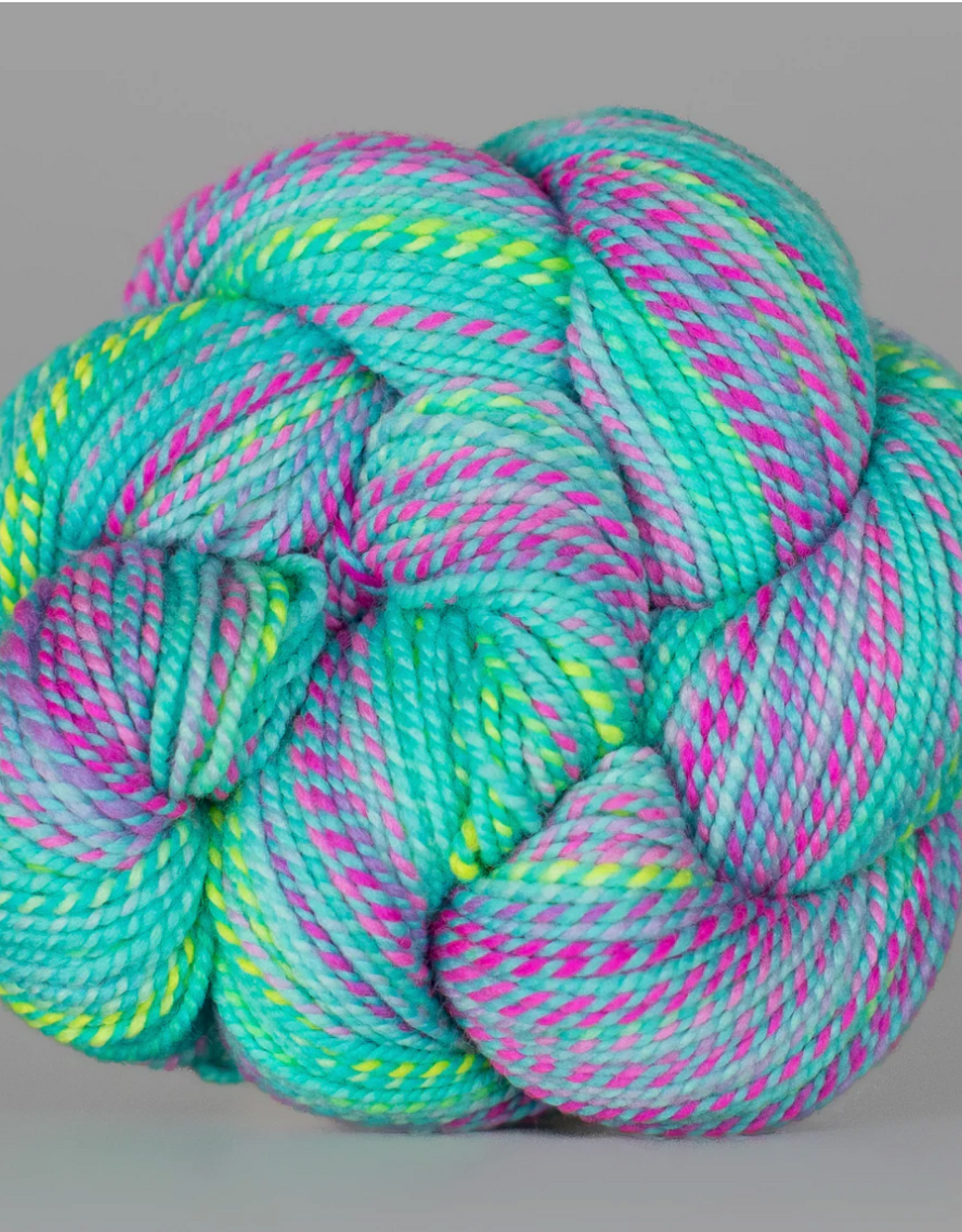 Spincycle Yarns Spincycle Yarns Dyed In The Wool