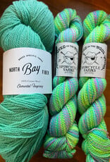 Spincycle Yarns Cleared for Take Off Kit
