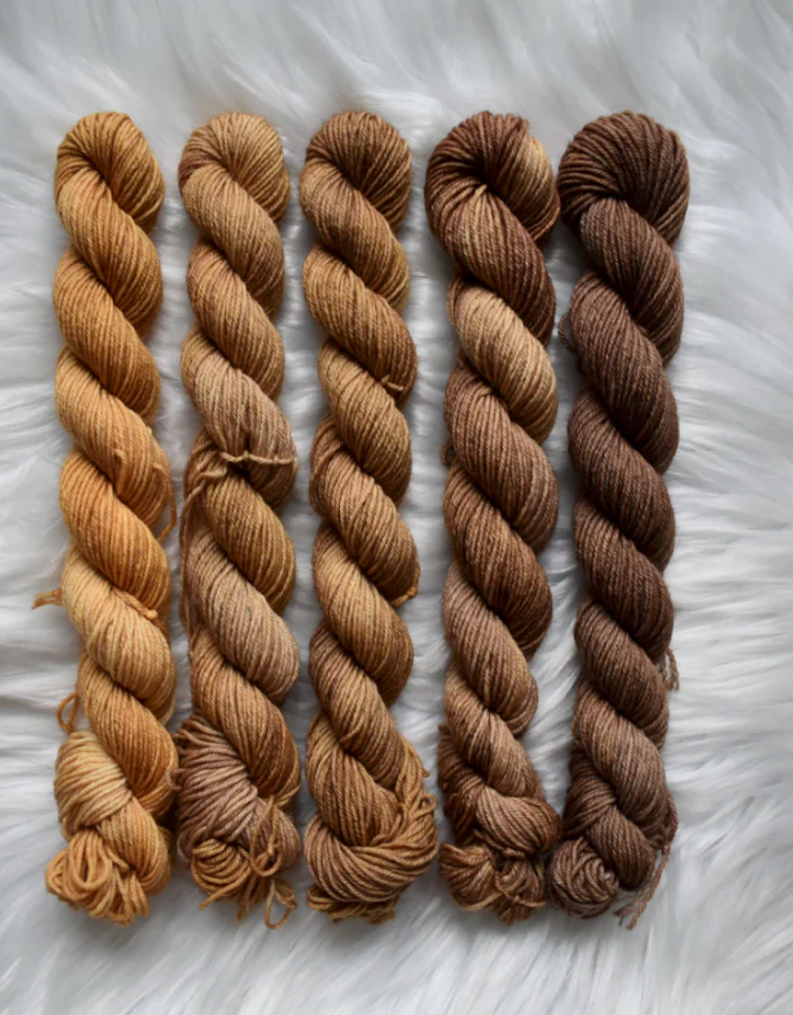 Chronicles of Cheryl Chronicles of Cheryl TRUNK SHOW Sock Mini Skein Bundle