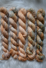 Chronicles of Cheryl Chronicles of Cheryl TRUNK SHOW Sock Mini Skein Bundle