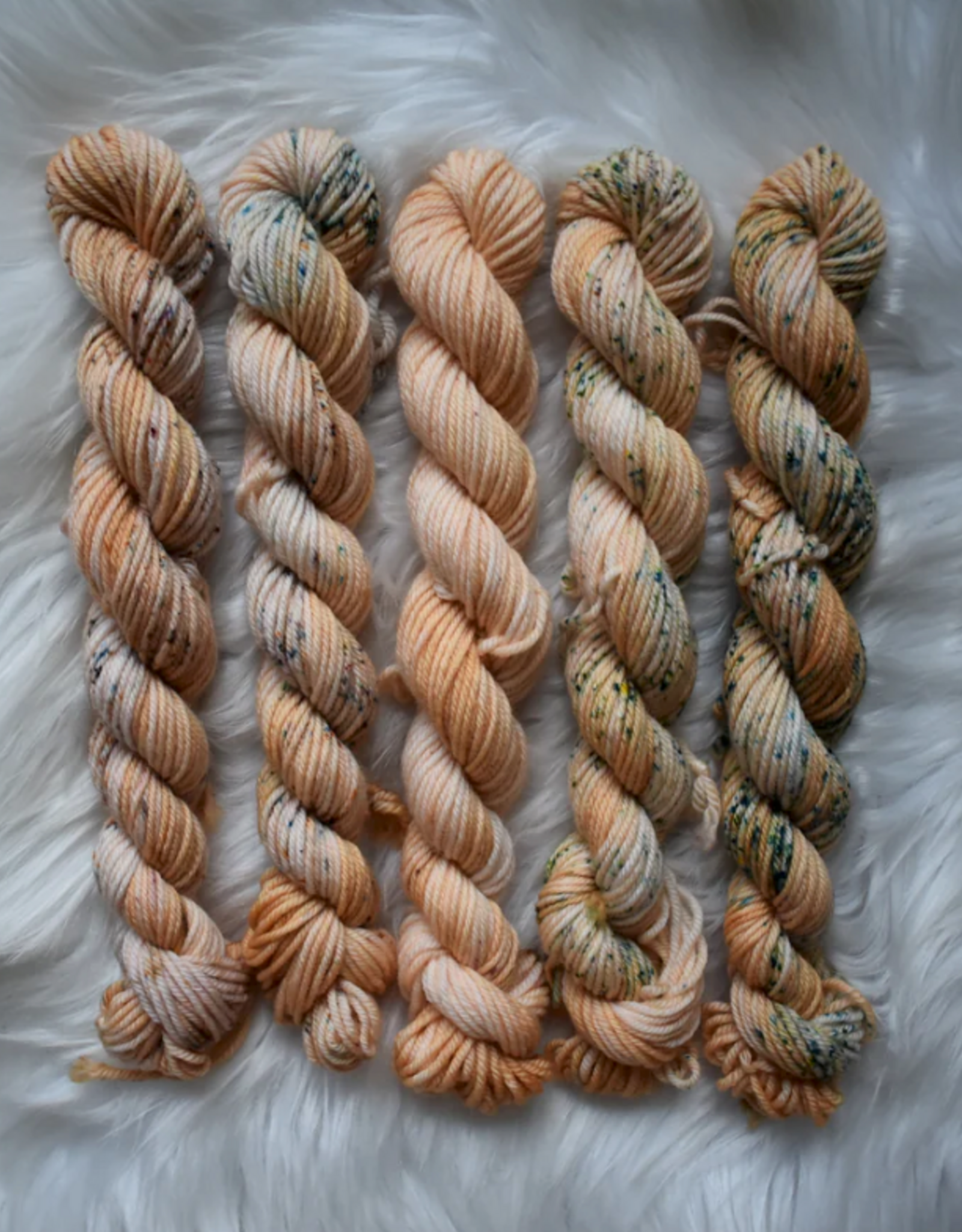 Chronicles of Cheryl Chronicles of Cheryl TRUNK SHOW Sock Mini Skein Bundle