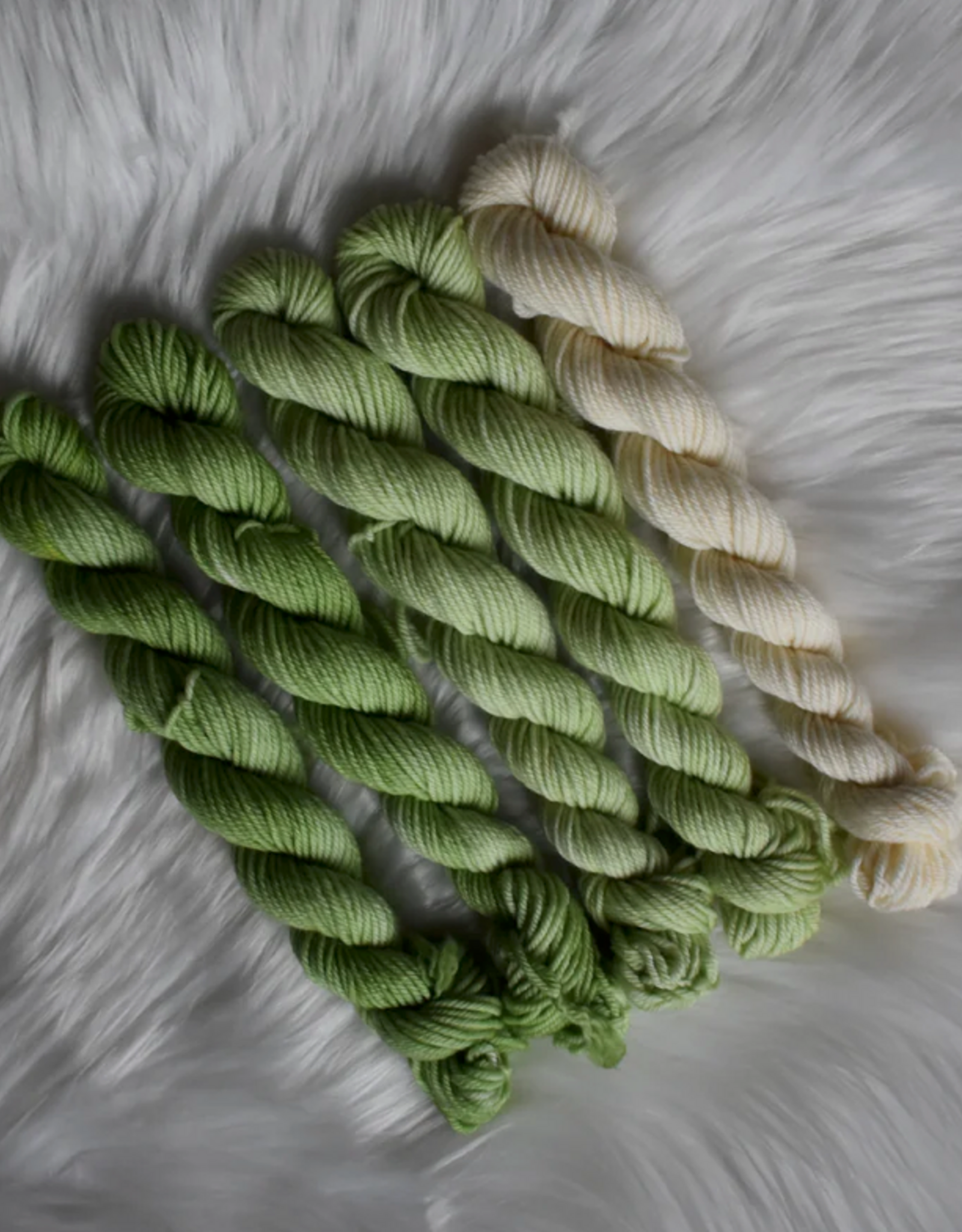 Chronicles of Cheryl Chronicles of Cheryl TRUNK SHOW DK Mini Bundle