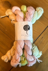 Chronicles of Cheryl Chronicles of Cheryl TRUNK SHOW Mini Skein Bundle Alpaca Sport
