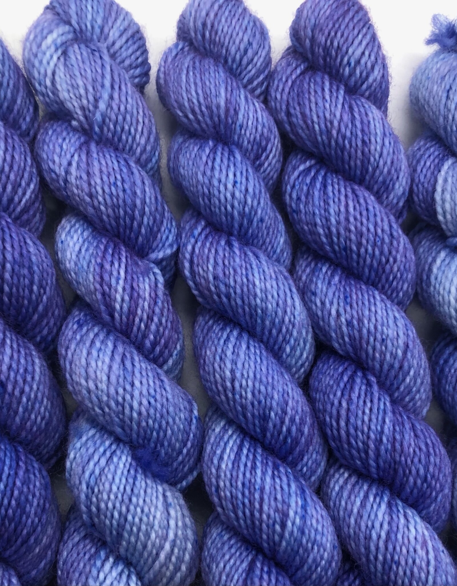 Emma's Yarn Emmas Yarn Practically Perfect Sock SMALL