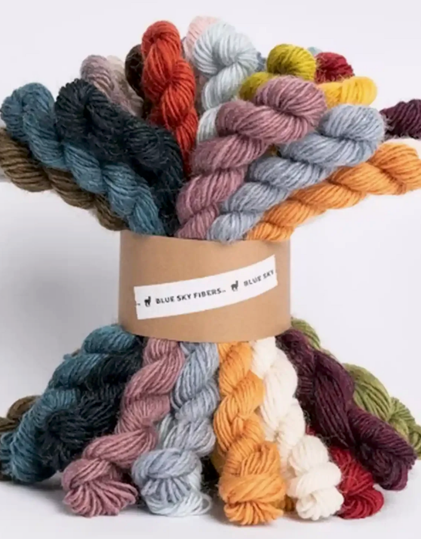 Blue Sky Alpacas 27 Color Bundle