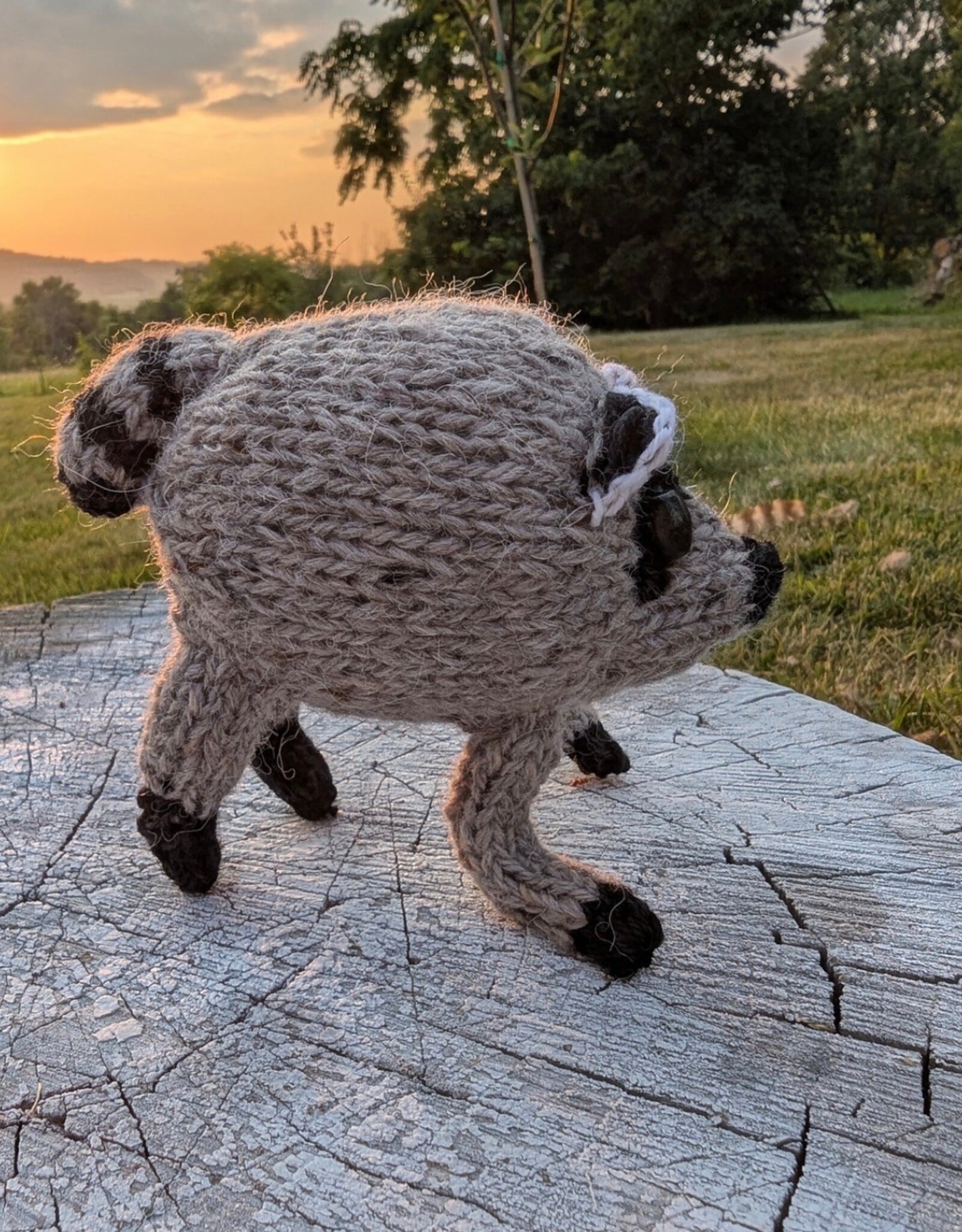 Jimothy Kit