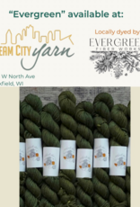 Evergreen Fiber Works Evergreen Custom Mini Skein for WEYC