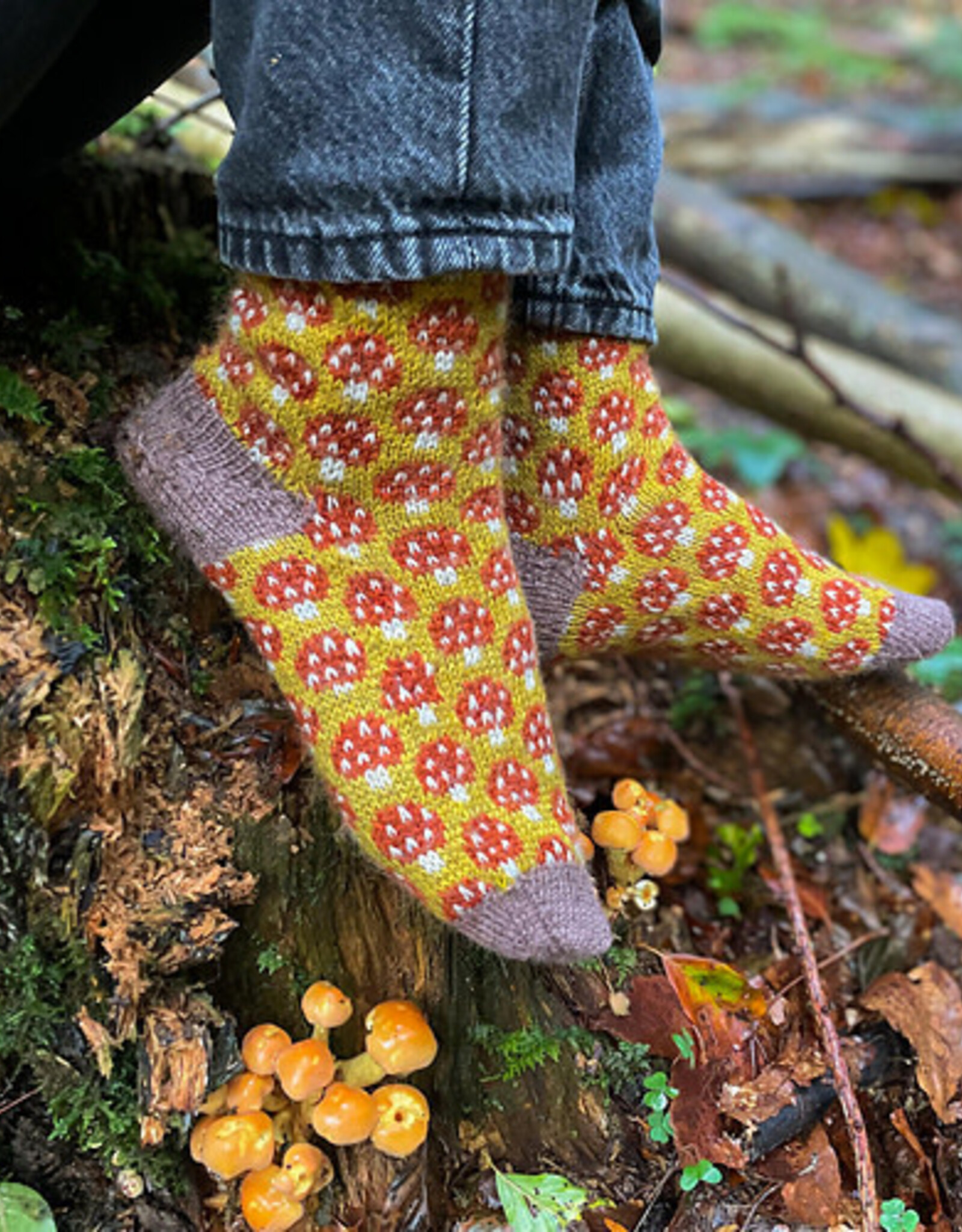 Emma's Yarn Magical Mycelium Socks Bundle