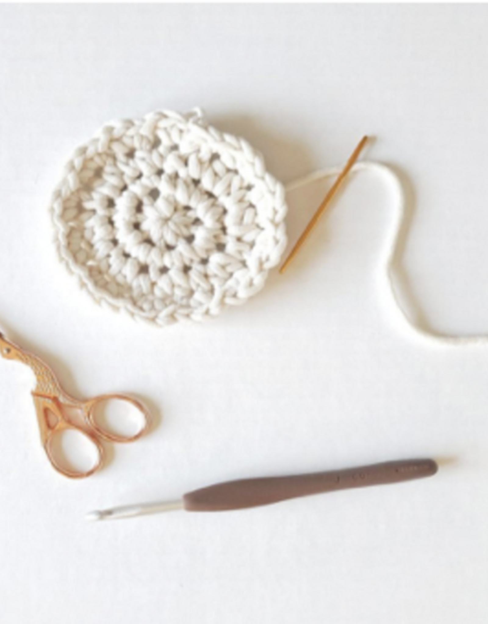 Class- Learn to  Crochet FALL 2026 November