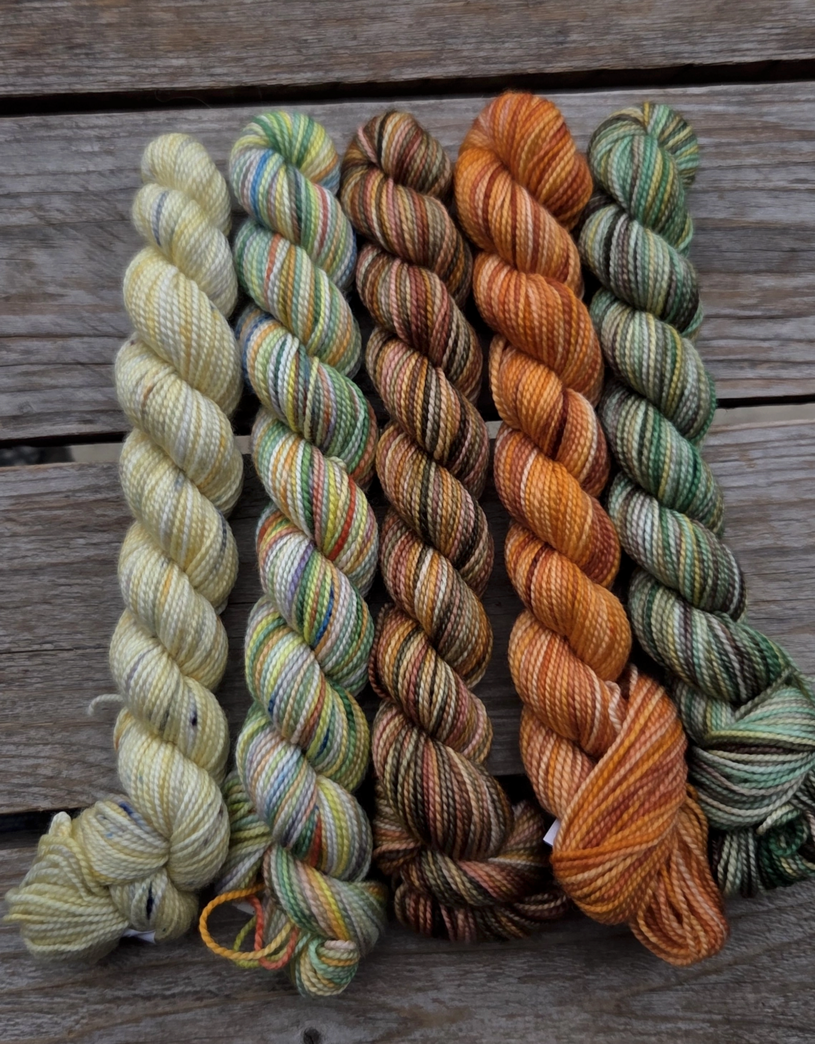 Koigu Koigu Paint Can