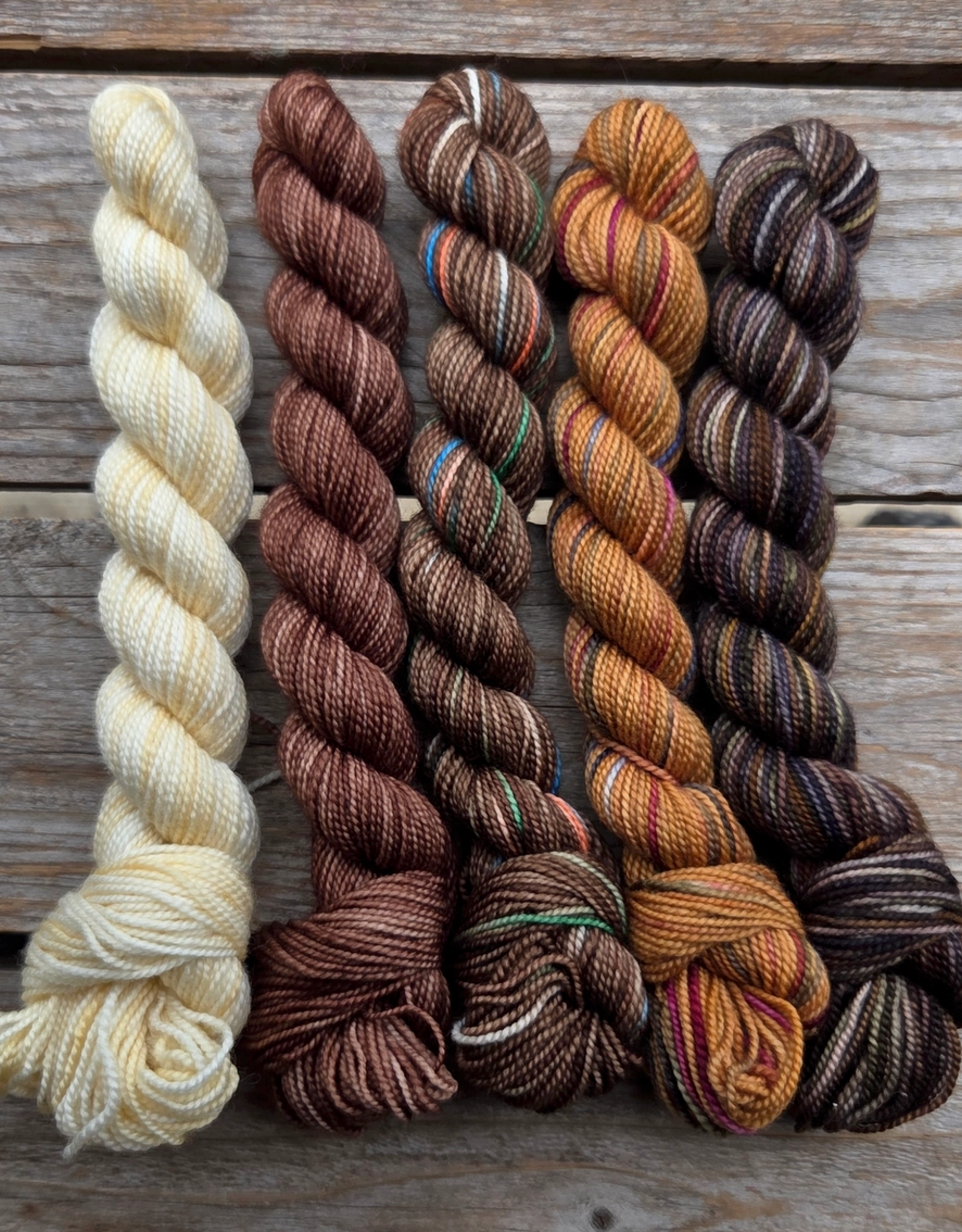 Koigu Koigu Paint Can