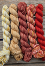 Koigu Koigu Paint Can