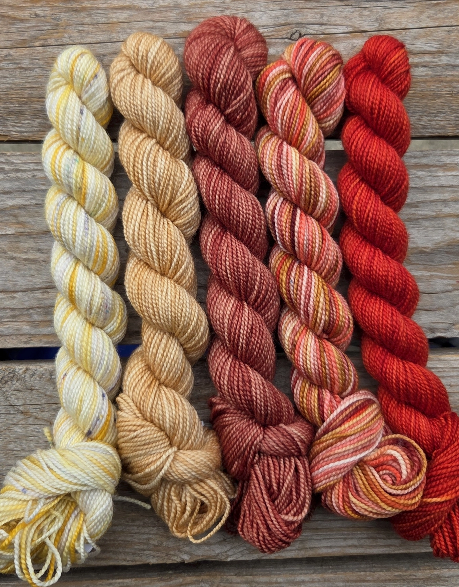 Koigu Koigu Paint Can