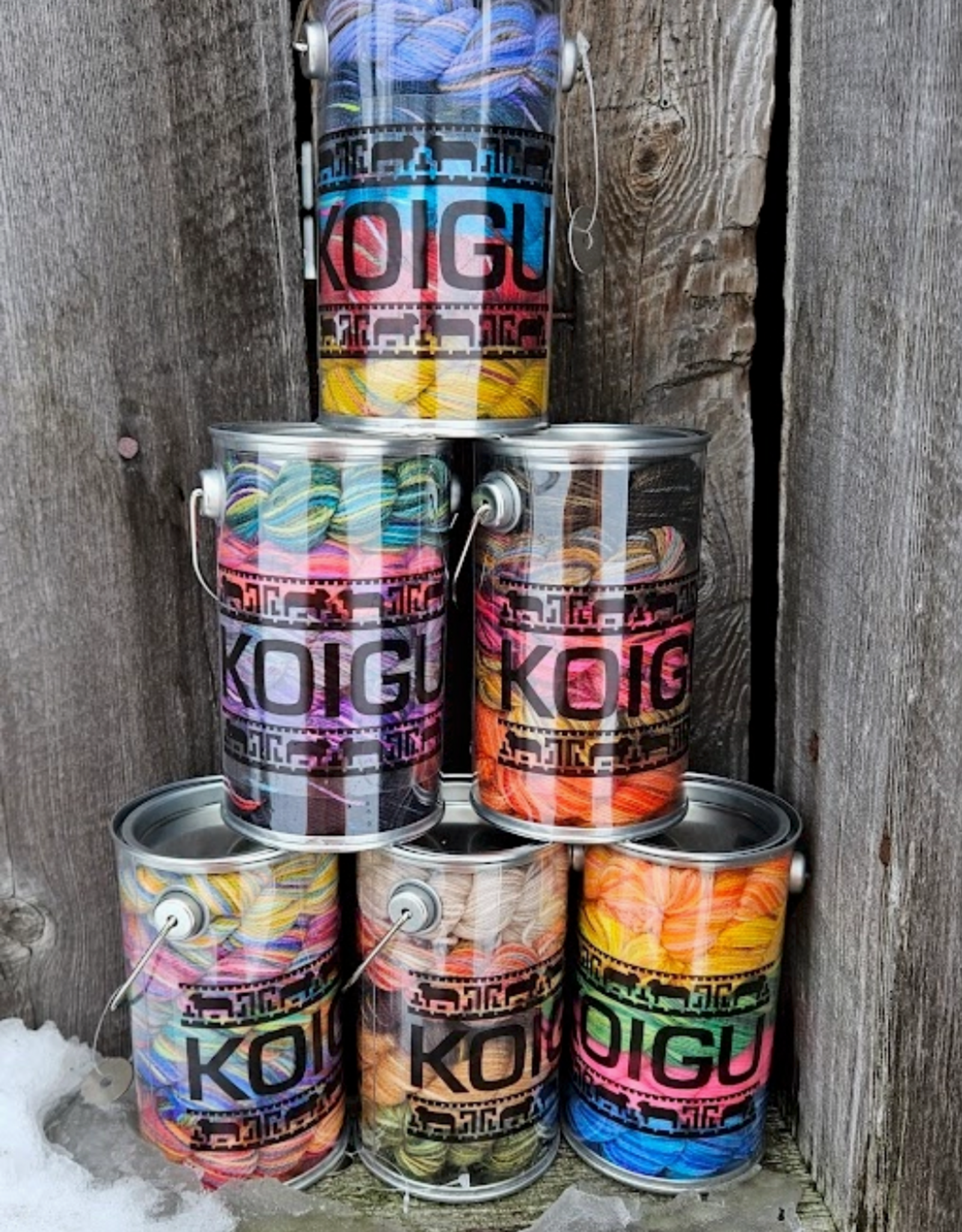 Koigu Koigu Paint Can