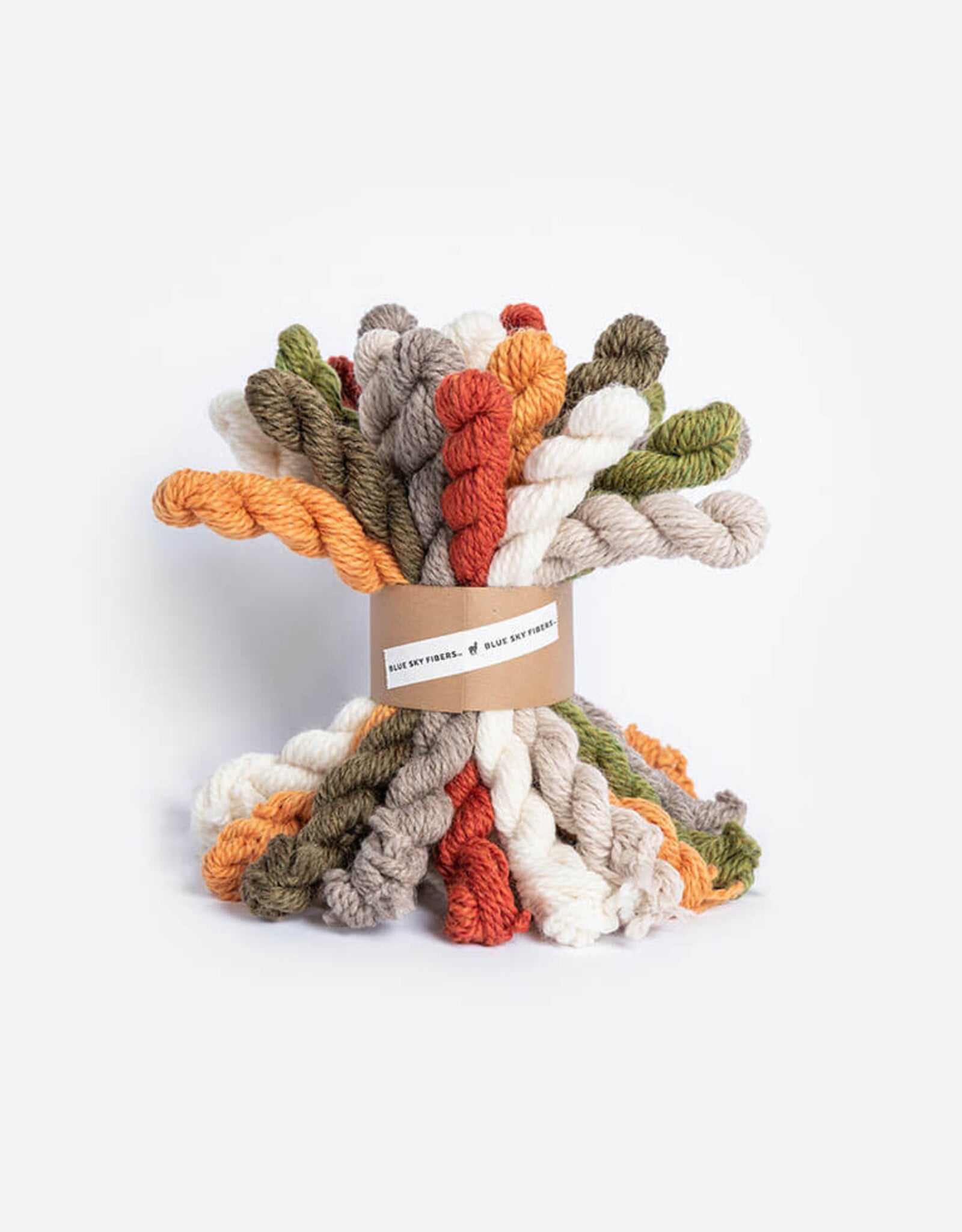 Blue Sky Alpacas Woolstok Bundle