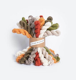 Blue Sky Alpacas Woolstok Bundle