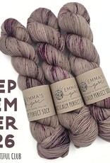 Emma's Yarn Emma’s Yarn CBC Club Practically Perfect Sock
