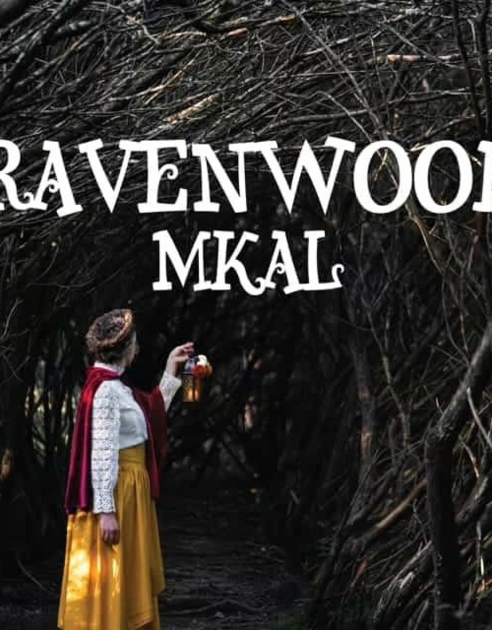 Emma's Yarn Ravenwood MKAL Kit
