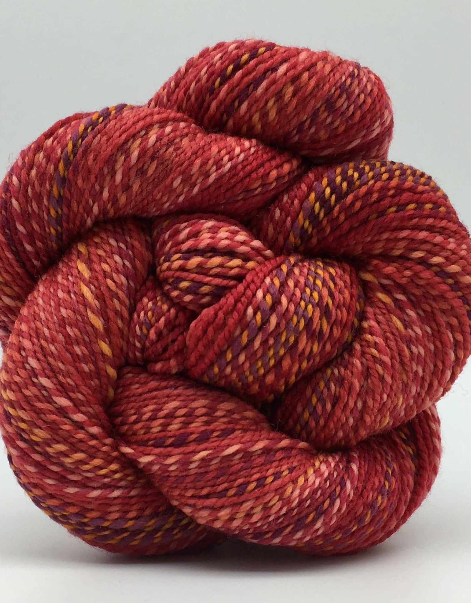 Spincycle Yarns Spincycle Yarns Dyed In The Wool