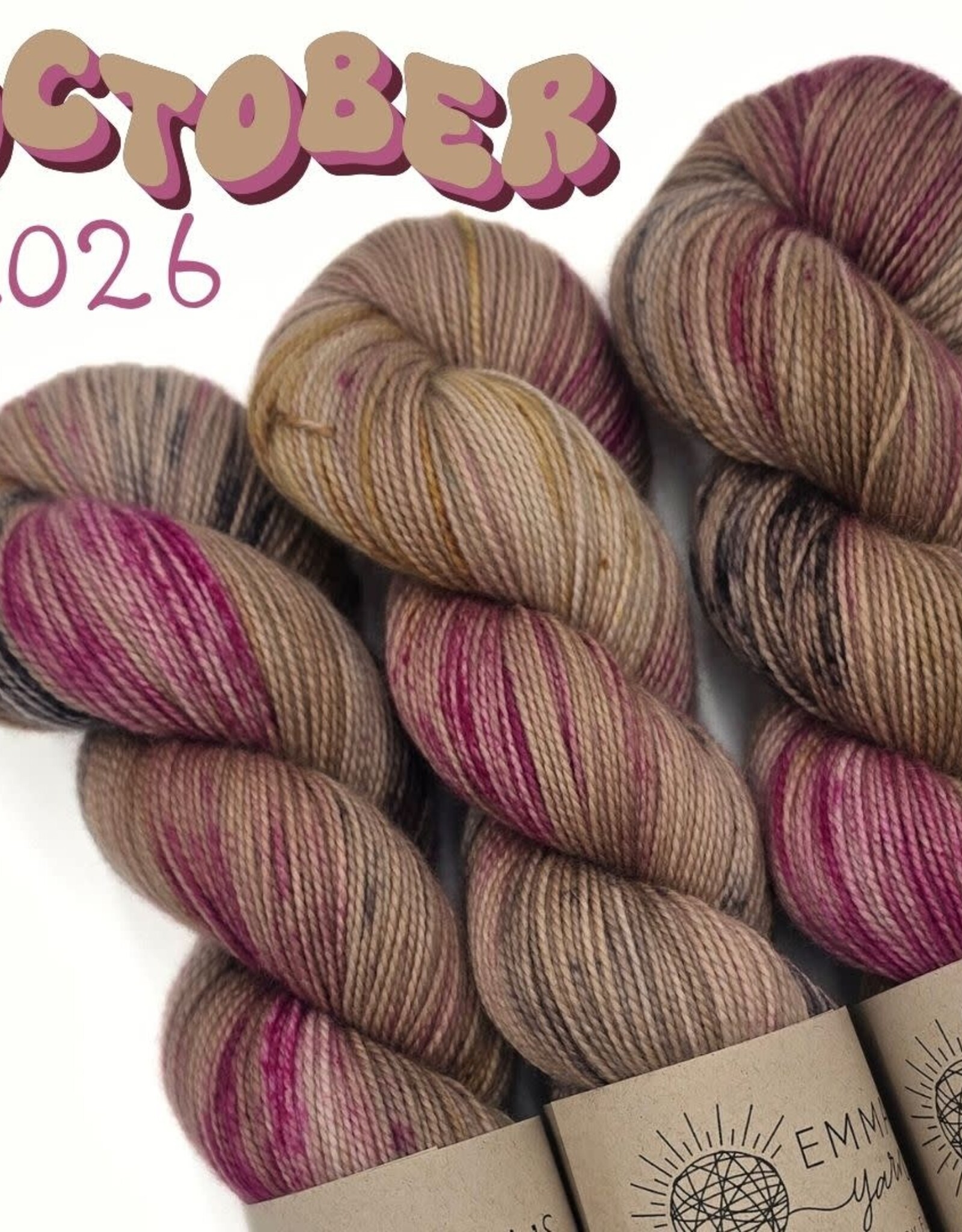 Emma's Yarn Emma’s Yarn CBC Club Practically Perfect Sock