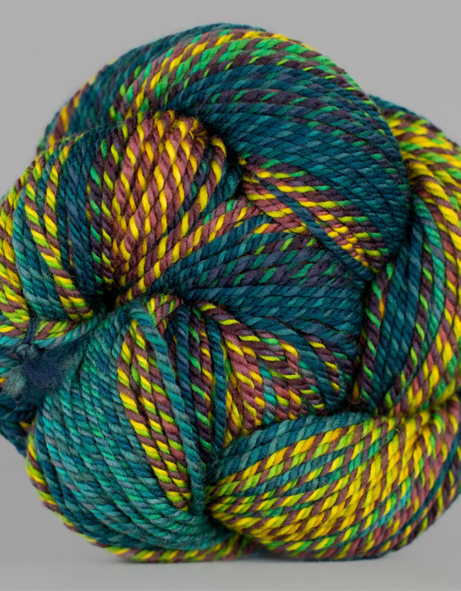 Spincycle Yarns Spincycle Yarns Dream State