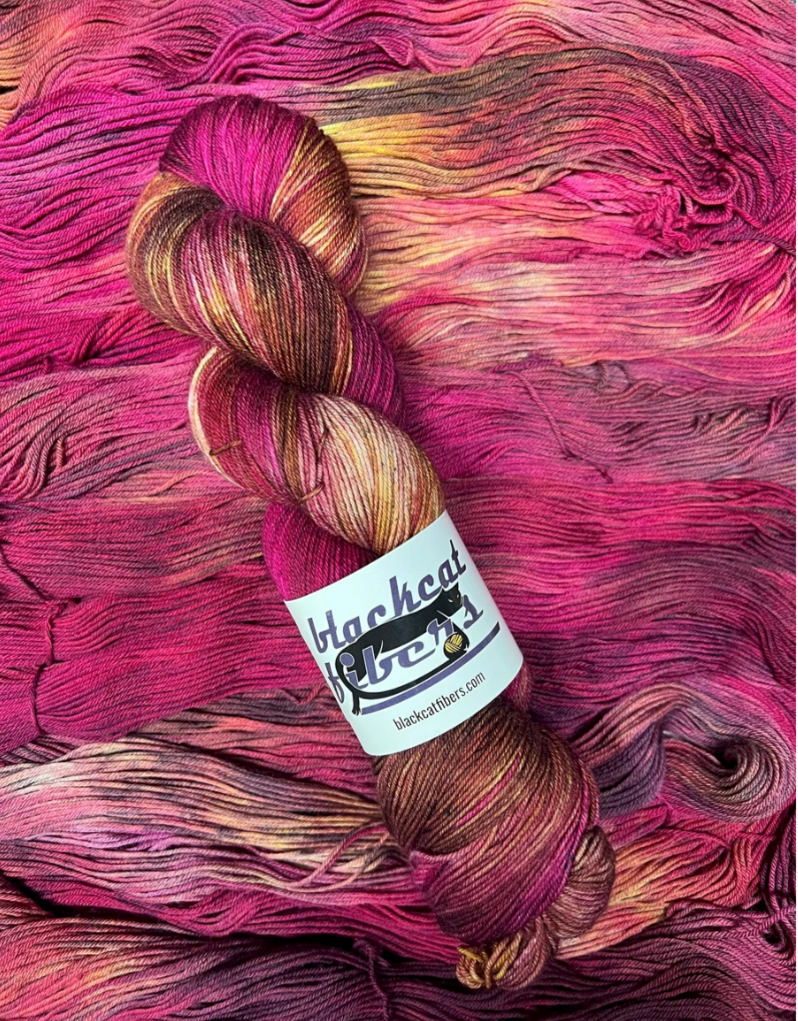 Black Cat Fibers Black Cat Nomad Sock