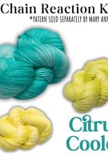 Emma's Yarn Chain Reaction DROP SHIP Kit