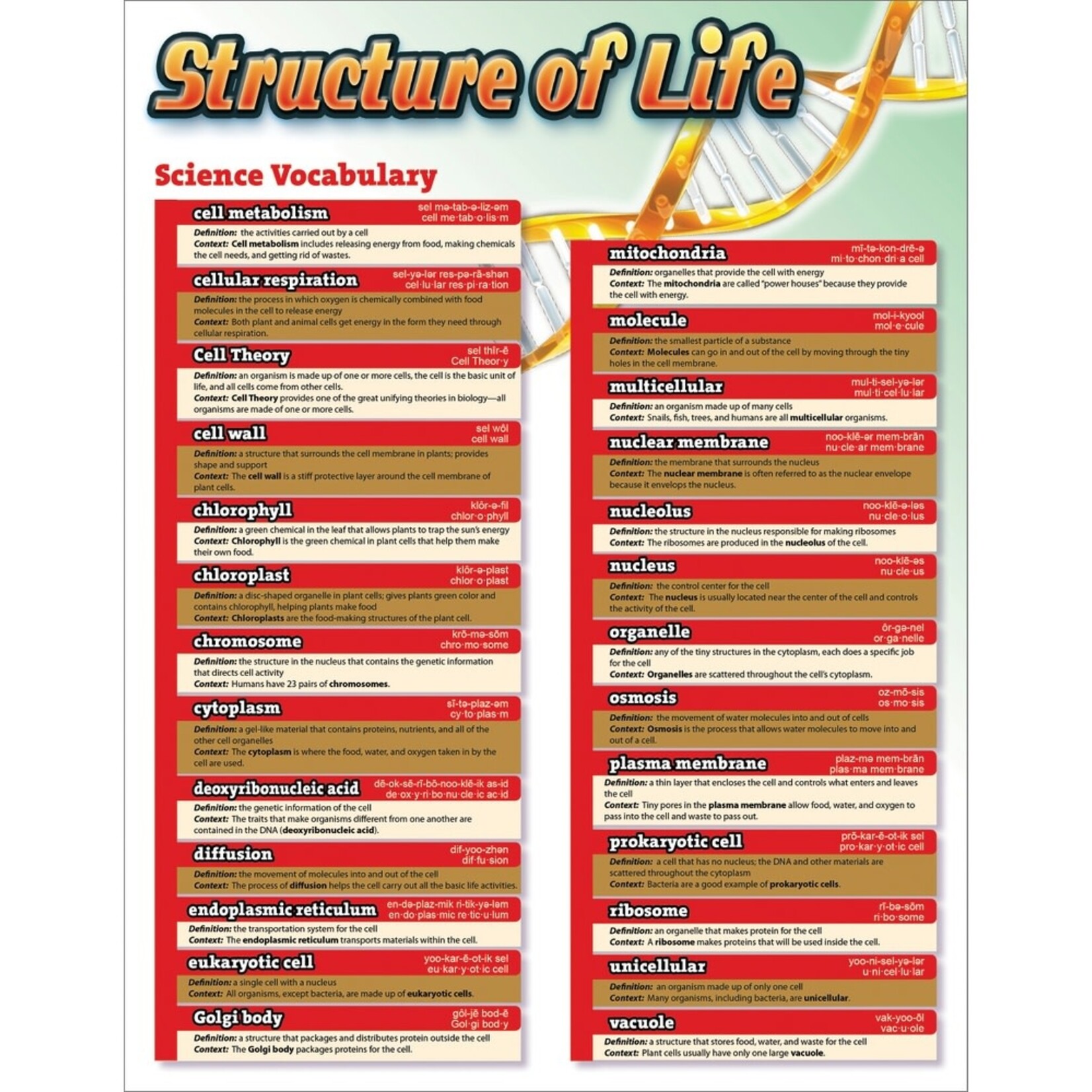 Carson-Dellosa Publishing Group Science Vocab: Structure of Life Chart 17x22 [CD414094]
