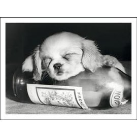 PERSIMMON PRESS BD Dog Asleep on Wine Bottle
