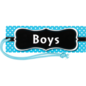 Teacher Created Resources Aqua Polka Dots Magnetic Boys Pass